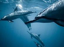 开云官网-南京男篮社媒晒训练中的趣味片段:团结的氛围永远是最重要的